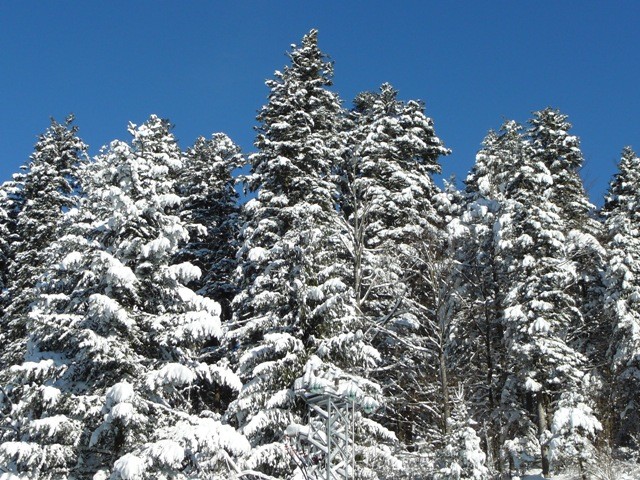 Gorski kotar